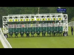 Video preview image for Hamilton Park 17:55 - hamilton-park.co.uk Apprentice Handicap (Round Two Of The Hamilton Park Apprentice Rider Series)
