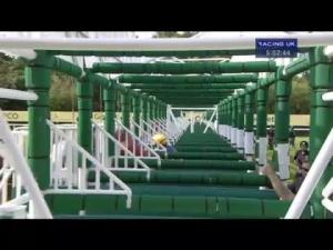 Video preview image for Ascot 17:00 - Britannia Stakes (Heritage Handicap) (Str)