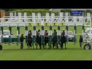 Video preview image for Redcar 14:20 - Win A Vip Day Out At redcarracing.co.uk Selling Stakes