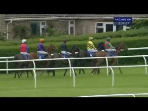 Video preview image for Market Rasen 15:20 - Dfds Seaways Novices' Chase