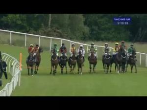 Video preview image for Market Rasen 17:10 - Gp Shipping Novices' Handicap Chase