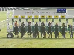 Video preview image for Newmarket 18:30 - Tamdown Handicap
