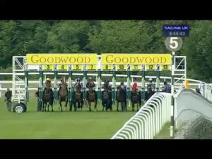 Video preview image for Goodwood 18:45 - Advanced Resource Management Handicap