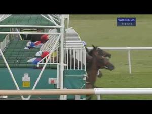 Video preview image for Newmarket 19:05 - Tamdown Maiden Stakes (Plus10)