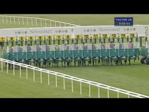 Video preview image for Newmarket 20:05 - David Holliday Memorial Handicap