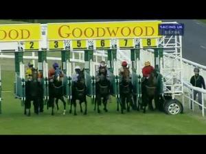 Video preview image for Goodwood 20:55 - Idris Elba Handicap