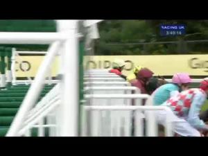 Video preview image for Ascot 15:40 - Hardwicke Stakes (Group 2)