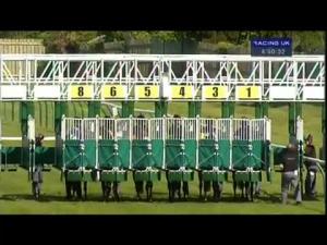 Video preview image for Ayr 16:50 - Arnold Clark Handicap