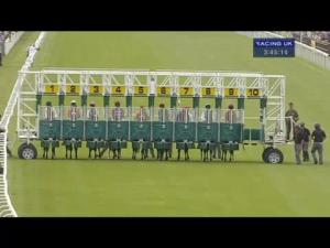 Video preview image for Salisbury 15:45 - Ashbrittle Stud Bibury Cup Handicap