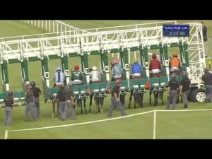 Video preview image for Salisbury 17:25 - Breeders Backing Racing EBF Maiden Stakes