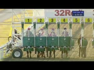 Video preview image for Kempton Park 20:20 - 32red/ebfstallions.com Novice Stakes (Plus10)