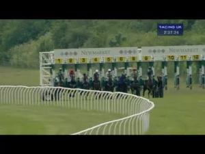 Video preview image for Newmarket 14:35 - Countryside Alliance Handicap