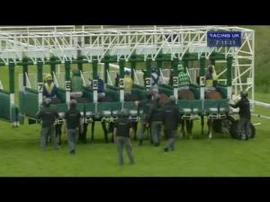 Video preview image for Hamilton Park 19:10 - Irn Bru Open Maiden Stakes
