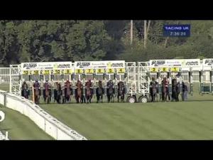 Video preview image for Newbury 19:30 - Pumpmatic Pump Stations By Pump Technology Maiden Fillies' Stakes (Plus10) (Str)