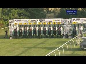 Video preview image for Newbury 20:00 - Jung Pumpen & Pump Technology Handicap (Rnd)