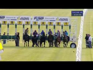 Video preview image for Newbury 20:30 - Pegasus Pumps Ltd Fillies' Handicap