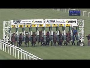 Video preview image for Newbury 21:00 - Lee San Marine Sanitation Handicap