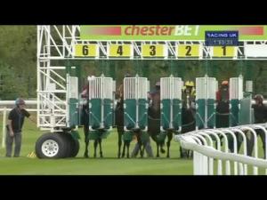 Video preview image for Chester 13:55 - Budweiser Novice Stakes (Plus10)