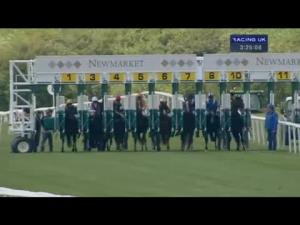 Video preview image for Newmarket 15:25 - John Sunley Memorial Criterion Stakes (Group 3)