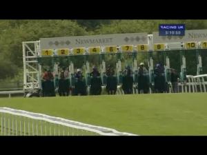 Video preview image for Newmarket 17:10 - Margaret Giffen Memorial EBF Stallions Fillies' Handicap