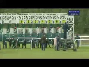 Video preview image for Musselburgh 18:45 - British Stallion Studs EBF Maiden Stakes (Plus10)