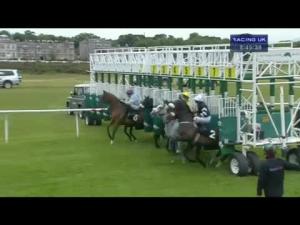 Video preview image for Musselburgh 20:45 - Edinburgh Gin Handicap