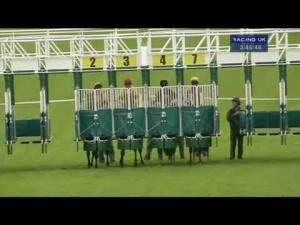 Video preview image for Hamilton Park 15:45 - EBF Stallions Soba Conditions Stakes