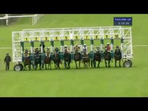 Video preview image for Hamilton Park 17:15 - Racing UK On Sky 432 Handicap