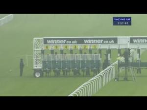 Video preview image for Haydock Park 15:50 - Tuffx Glass EBF Stallions Novice Stakes (Plus10)