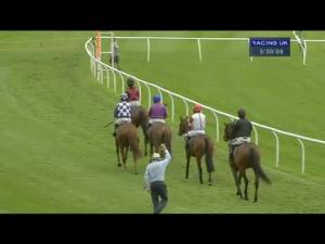 Video preview image for Perth 17:30 - Scottish Game Fair Starting Tomorrow Standard Open NH Flat Race