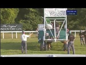 Video preview image for Epsom Downs 19:55 - EBF Stallions Landlord Investor Magazine Maiden Fillies' Stakes