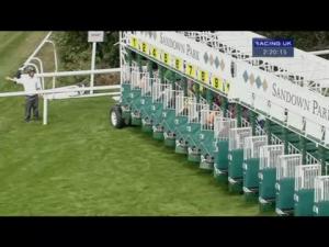 Video preview image for Sandown Park 14:20 - Psigma Investment Management Palacegate Touch Handicap