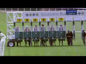 Video preview image for Sandown Park 15:20 - Irish Champions Weekend EBF Maiden Stakes