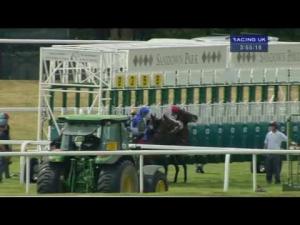 Video preview image for Sandown Park 15:55 - Ambant Gala Stakes (Listed)