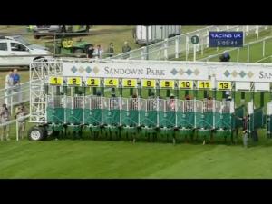 Video preview image for Sandown Park 17:05 - 100% Ruk Profits Back To Racing Handicap