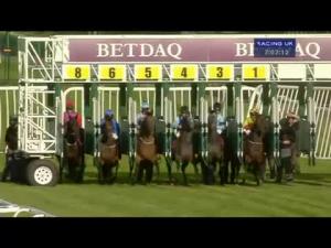 Video preview image for Haydock Park 19:00 - Rugby At The Races Handicap