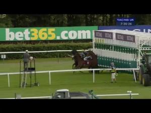 Video preview image for Haydock Park 19:30 - Rose Blossom Trust Handicap