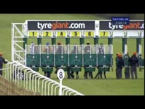 Video preview image for Beverley 19:45 - Swan Industrial Drives Handicap