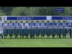 Video preview image for Sandown Park 14:35 - Coral Challenge (Handicap)