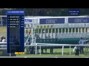Video preview image for Sandown Park 15:45 - Coral-Eclipse (British Champions Series) (Group 1)