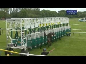 Video preview image for Ayr 14:30 - Bet Toteexacta Handicap (Div 1)