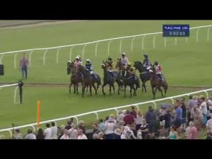 Video preview image for Market Rasen 17:00 - Tom Halliday Memorial Conditional Jockeys' Handicap Hurdle