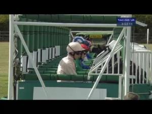 Video preview image for Newmarket 15:45 - Unibet Handicap