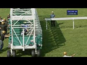 Video preview image for Newmarket 16:55 - John Deere EBF Stallions Maiden Fillies' Stakes (Plus10) (Div 2)