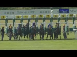 Video preview image for Newmarket 17:30 - Hastings Direct Sir Henry Cecil Stakes (Formerly The Stubbs Stakes) (Listed)