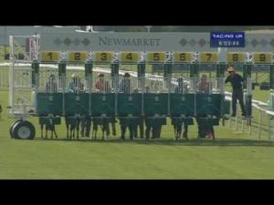 Video preview image for Newmarket 18:00 - Robinsons Mercedes-Benz Handicap
