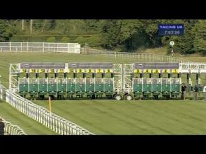 Video preview image for Newbury 19:00 - Zenergi Maiden Auction Fillies' Stakes (Plus10)