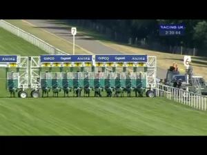 Video preview image for Ascot 14:30 - Commercial Property Law By Darbys Solicitors Nursery