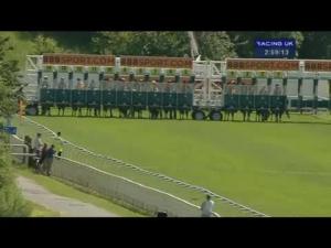 Video preview image for York 14:55 - 888Sport Summer Stakes (Fillies' Group 3)