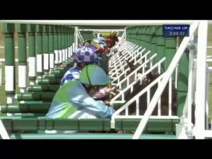 Video preview image for Newmarket 15:45 - Betfred Mobile Stakes (Heritage Handicap)